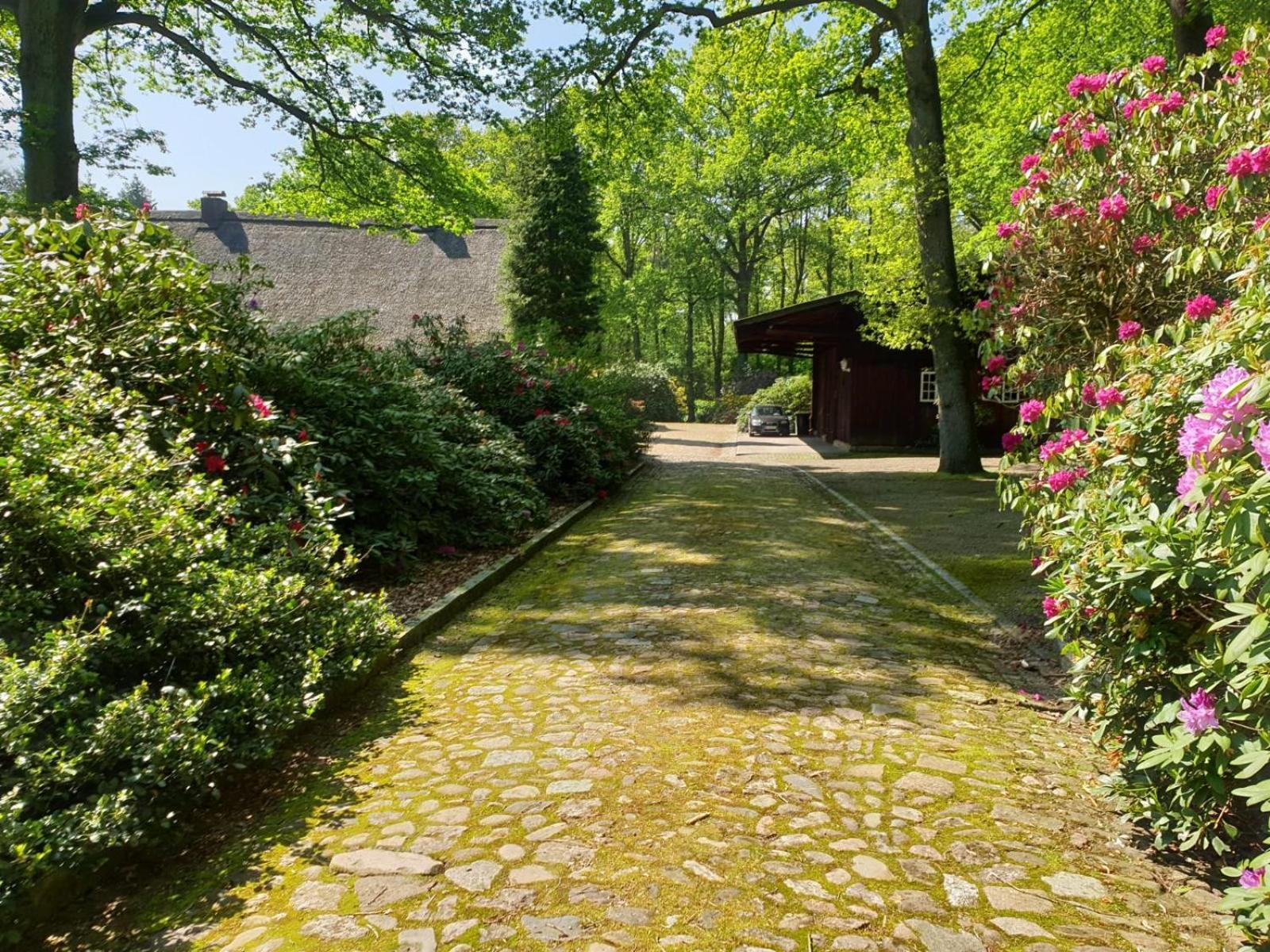 Hof Lindemann Villa Schneverdingen Ngoại thất bức ảnh